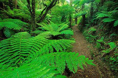 《怪物猎人：崛起》将于2022年1月登陆Steam